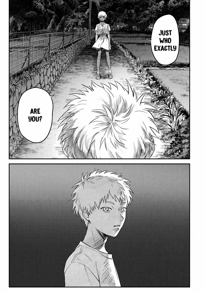 The Summer Hikaru Died Chapter 15 image 13_optimized